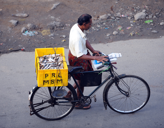 Street Life India 28