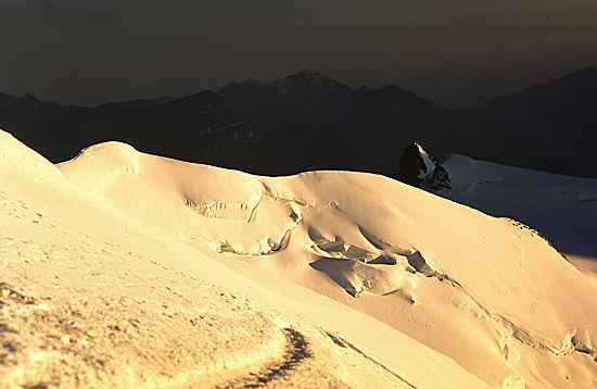 Monte Rosa Wchte